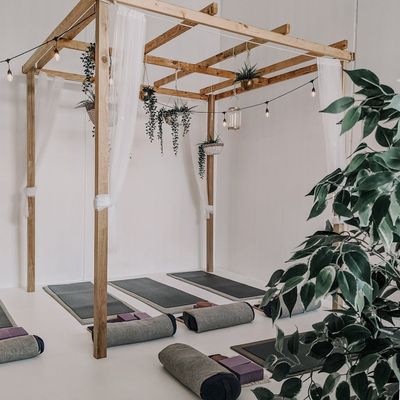 Minimalist yoga studio interior with green plants and mats